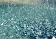 Nằm mơ thấy mưa nên đánh con gì để thắng lớn? Nằm mơ thấy mưa nên đánh con gì để thắng lớn?