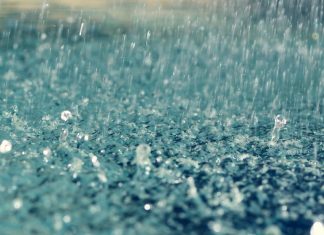 Nằm mơ thấy mưa nên đánh con gì để thắng lớn? Nằm mơ thấy mưa nên đánh con gì để thắng lớn?