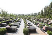 Mơ thấy nghĩa trang đánh con gì dễ trúng nhất? Nằm mơ thấy nghĩa trang đánh con gì dễ trúng nhất?