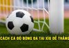 Hé lộ cách cá độ bóng đá tài xỉu dễ thắng từ các cao thủ  Hé lộ cách cá độ bóng đá tài xỉu dễ thắng từ các cao thủ