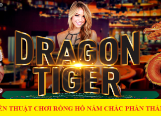 Hé lộ chiến thuật chơi rồng hổ bách chiến bách thắng Hé lộ chiến thuật chơi rồng hổ bách chiến bách thắng