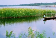 Mơ thấy sông nước điềm báo gì – Nên đánh con nào dễ trúng? Mơ thấy sông nước điềm báo gì - Nên đánh con nào dễ trúng?