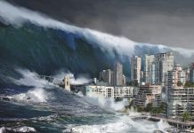 Nằm mơ thấy sóng thần đánh đề số gì? Giải mã điềm báo giấc mơ! nằm mơ thấy sóng thần đánh con gì