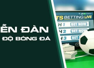 Forum cá độ bóng đá là gì? Những lợi ích khi tham gia forum cá độ? forum cá độ bóng đá là gì