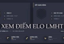 Bật Mí Cách Xem Elo LMHT Cho Những Người Chưa Biết Cách xem Elo LMHT
