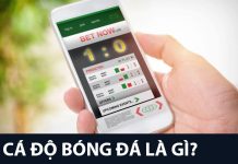 Cá độ bóng đá có tính hiệp 1 hiệp 2 không? Cược tài xỉu hiệp 1 hiệp 2