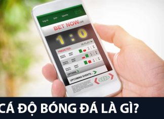 Cá độ bóng đá có tính hiệp 1 hiệp 2 không? Cược tài xỉu hiệp 1 hiệp 2