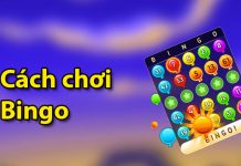 Cách chơi Bingo đơn giản cho người mới cách chơi bingo