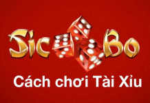 Cách chơi tài xỉu xí ngầu đơn giản mà hiệu quả Cách chơi tài xỉu xí ngầu dễ dàng mà lại hiệu quả