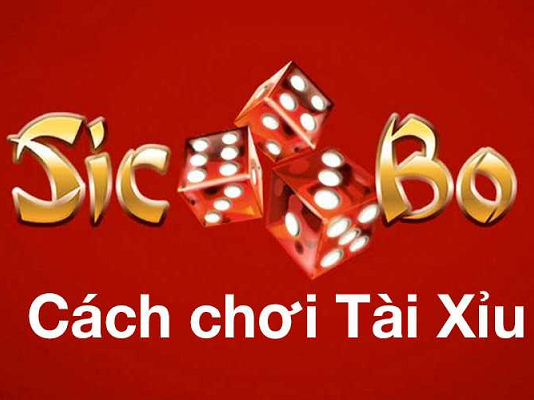 Cách chơi tài xỉu xí ngầu đơn giản mà hiệu quả Cách chơi tài xỉu xí ngầu dễ dàng mà lại hiệu quả