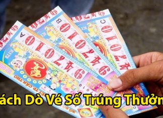 Chia sẻ về cách dò vé số trúng thưởng dễ hiểu nhất cách dò vé số trúng thưởng