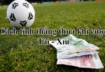 Cách tính tài xỉu đơn giản nhưng cực hiệu quả Cách tính tài xỉu đơn giản và hiệu quả nhất