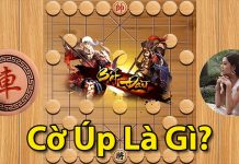 Cờ úp là gì? Hướng dẫn chơi cờ úp cho người mới cờ úp là gì?