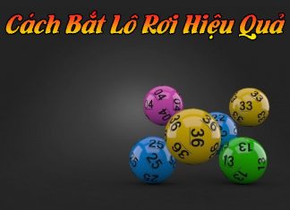 Gợi ý cho bạn những cách bắt lô rơi đầy hiệu quả nhất cách bắt lô rơi