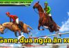 Hướng dẫn tải và chơi game đua ngựa ăn xu đua ngựa ăn xu