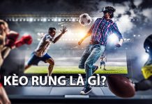 Cách cược kèo rung (running) đơn giản và hiệu quả nhất kèo rung là gì