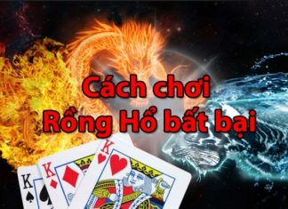 Cách chơi Rồng Hổ Online từ cơ bản đến nâng cao Cách chơi rồng hổ online từ cơ bản đến nâng cao