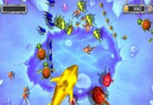 Tổng hợp các cách chơi game bắn cá chơi là thắng! Khi có nhiều tiền hãy bắn những con cá lớn với đạn lớn