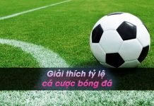 Giải thích tỷ lệ cá cược bóng đá chi tiết nhất hiện nay Giải thích tỷ lệ cá cược bóng đá kèo 1.75 trái