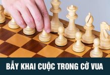 Bẫy khai cuộc trong cờ vua là gì? Mẹo chơi cờ vua cho người mới bẫy khai cuộc cờ vua