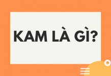 Kam là gì? Tìm hiểu trào lưu đang rất nổi trên mạng xã hội Kam là gì?