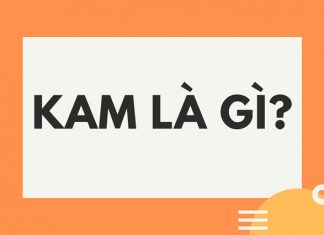 Kam là gì? Tìm hiểu trào lưu đang rất nổi trên mạng xã hội Kam là gì?